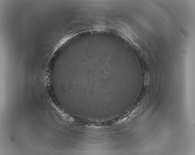 X0000112531208200908171413