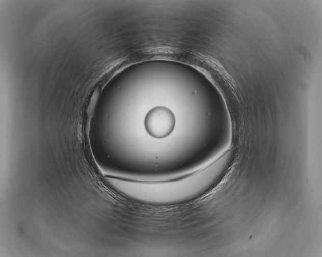 X0000112531209200908171413