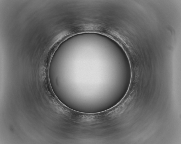 X0000112531211200908171413