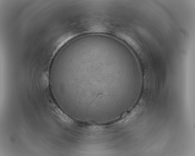 X0000112531212200908171413