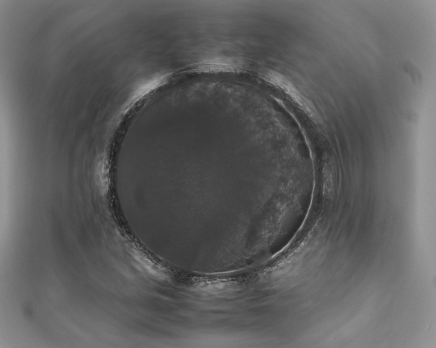 X0000112531213200908171413