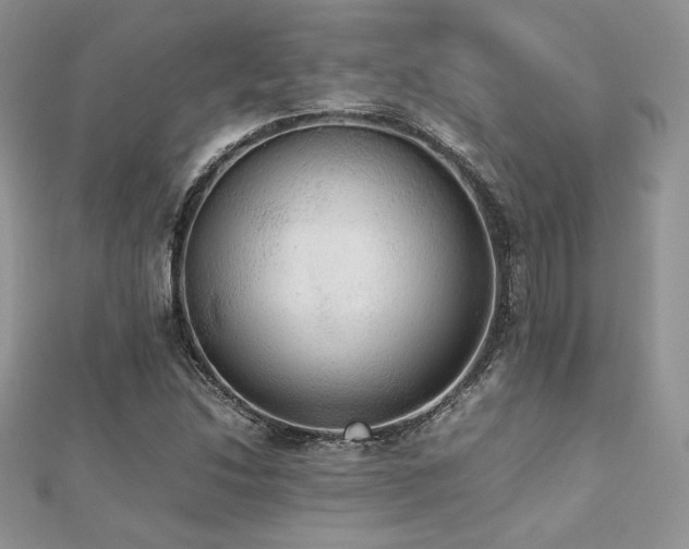 X0000112531214200908171413