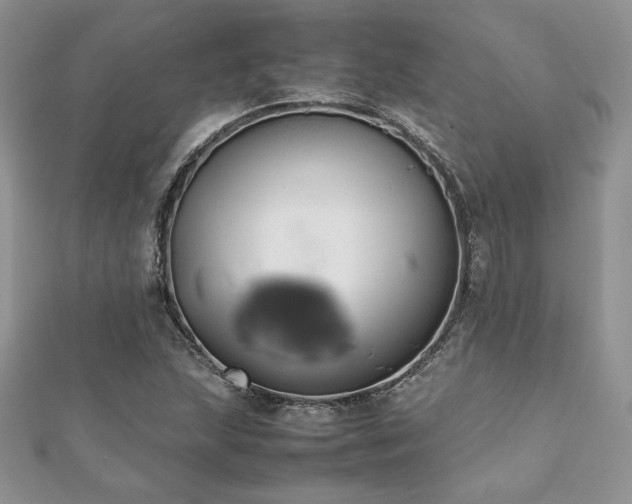 X0000112531215200908171413