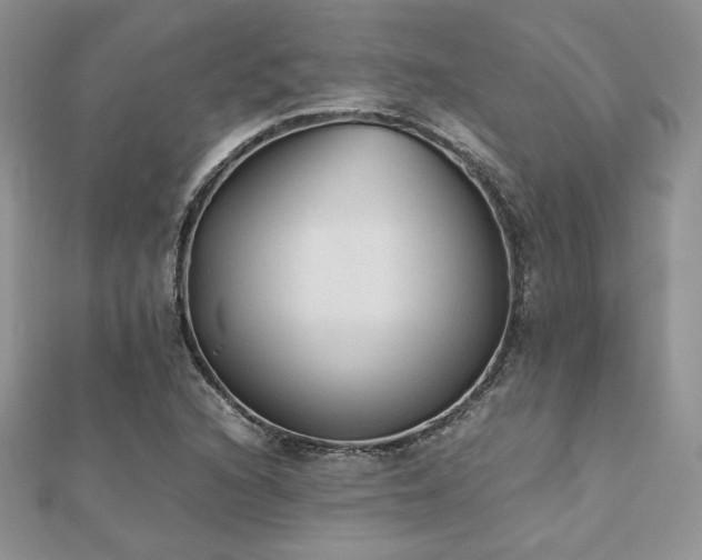 X0000112531216200908171413