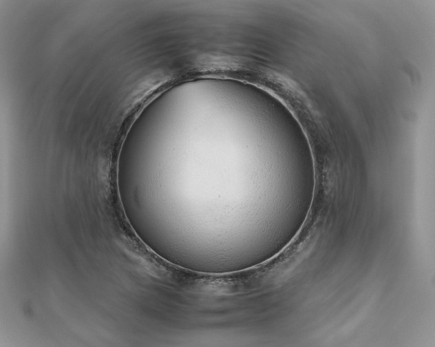X0000112531217200908171413