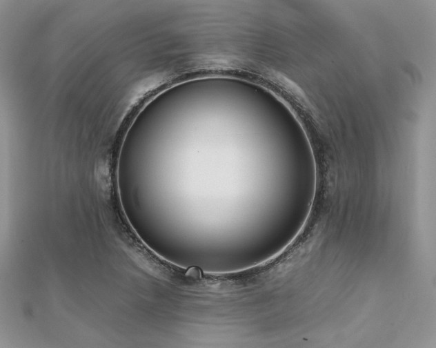 X0000112531218200908171413