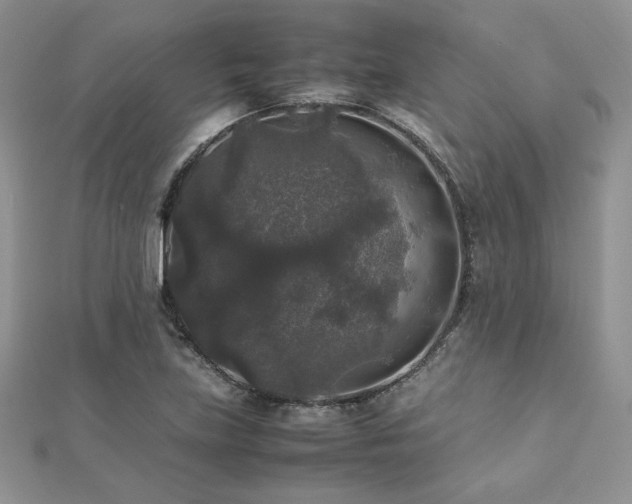 X0000112531219200908171413