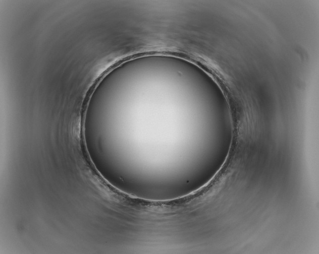 X0000112531220200908171413