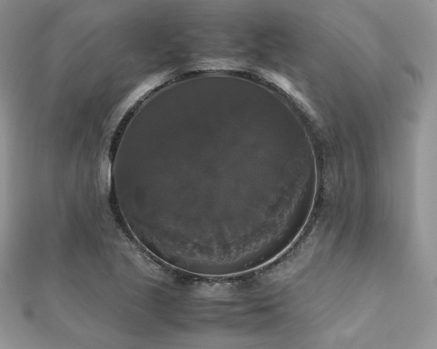 X0000112531221200908171413