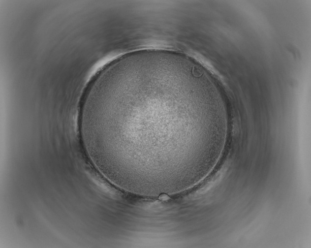 X0000112531222200908171413
