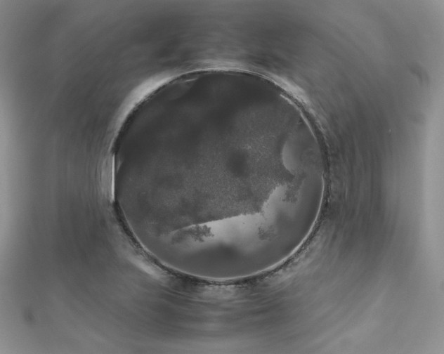 X0000112531223200908171413