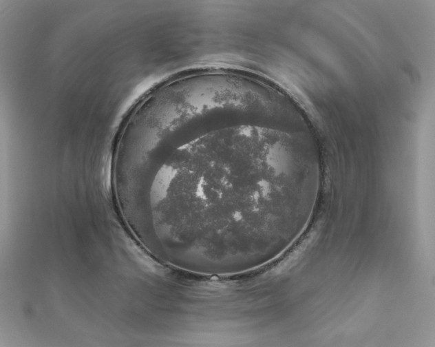 X0000112531224200908171413