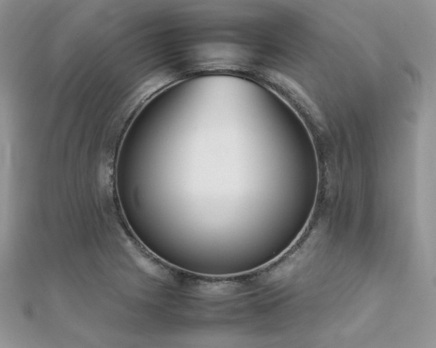 X0000112531225200908171413