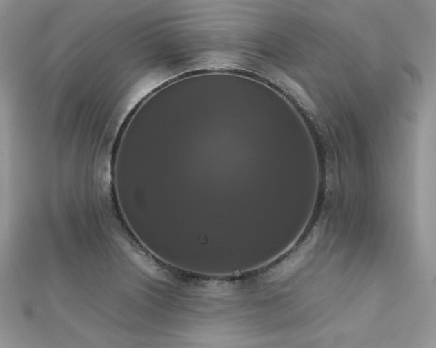 X0000112531226200908171413