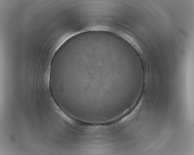 X0000112531228200908171414