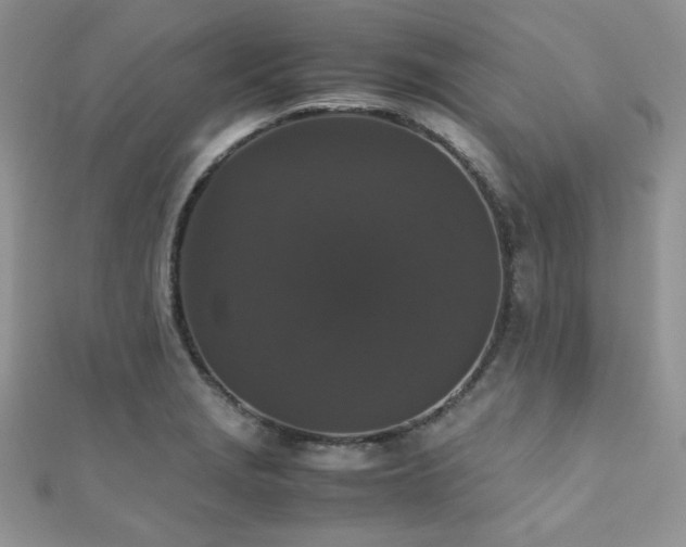 X0000112531229200908171414