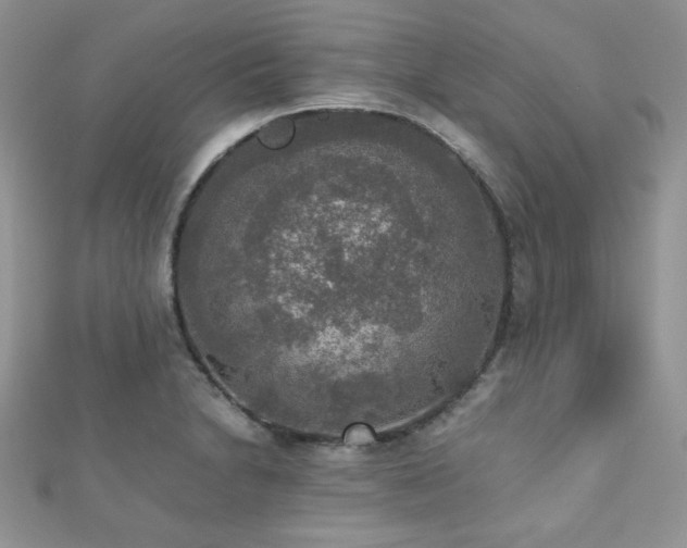 X0000112531230200908171414
