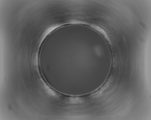 X0000112531231200908171414