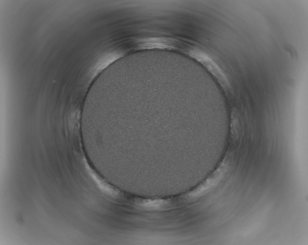 X0000112531233200908171414