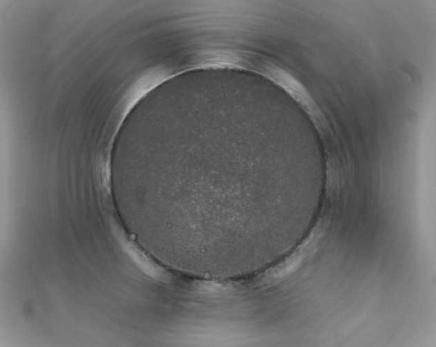 X0000112531234200908171414