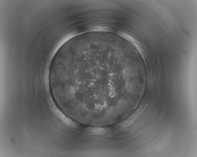 X0000112531235200908171414
