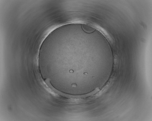 X0000112531236200908171414