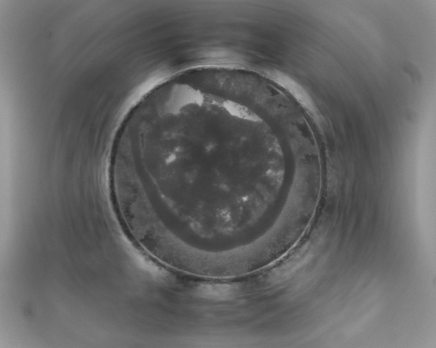 X0000112531237200908171414