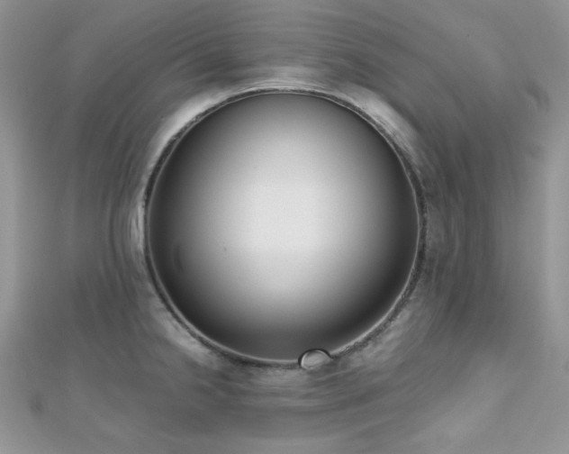 X0000112531238200908171414