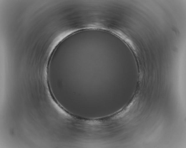 X0000112531239200908171414