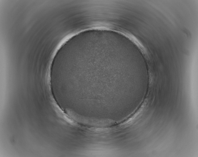 X0000112531240200908171414