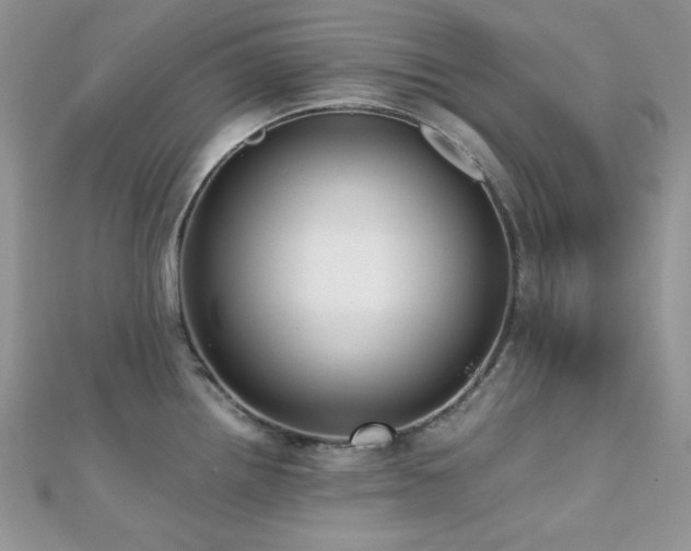 X0000112531242200908171414