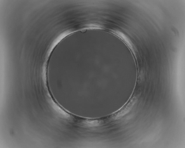 X0000112531243200908171414