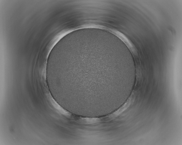 X0000112531244200908171414