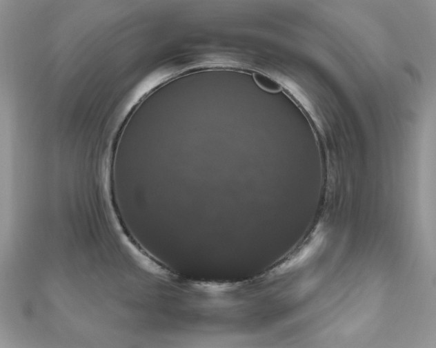 X0000112531245200908171414
