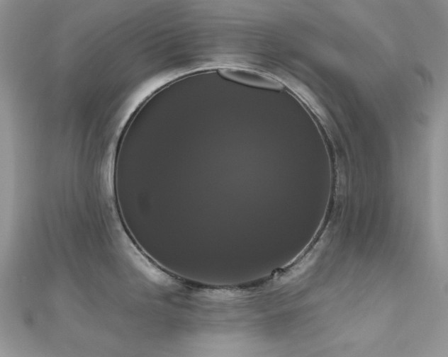 X0000112531246200908171414