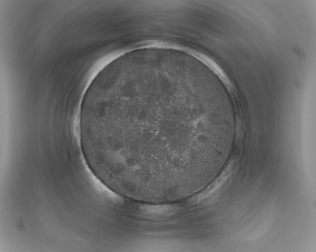 X0000112531247200908171414