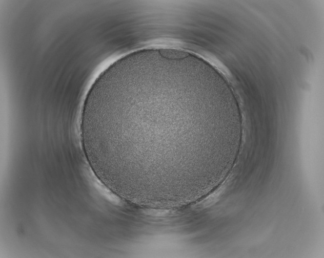 X0000112531248200908171414