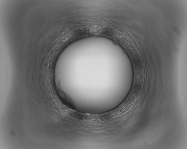 X0000112531249200908171413