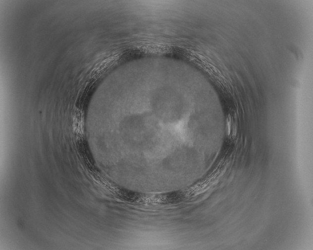 X0000112531251200908171413