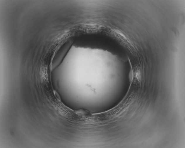 X0000112531252200908171413