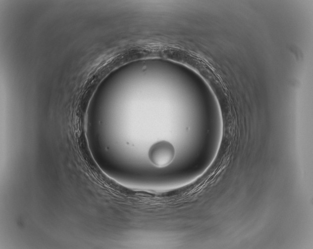 X0000112531253200908171413