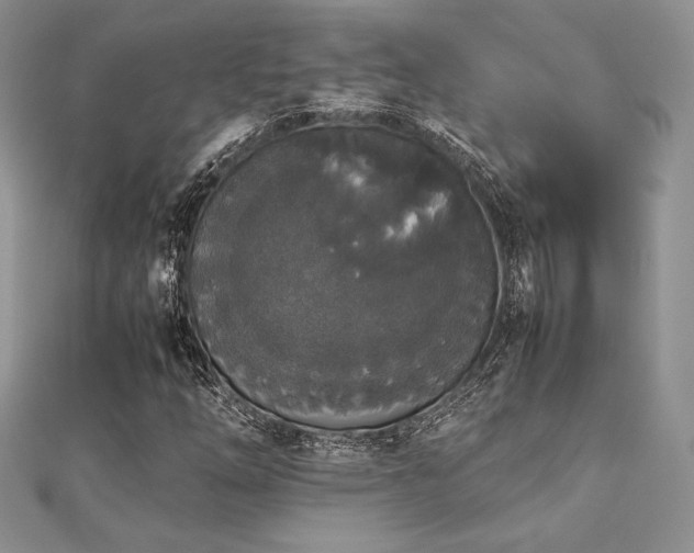 X0000112531254200908171413