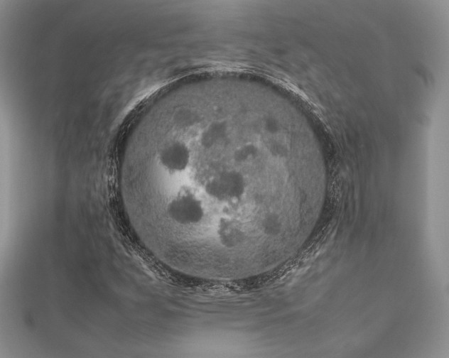 X0000112531255200908171413
