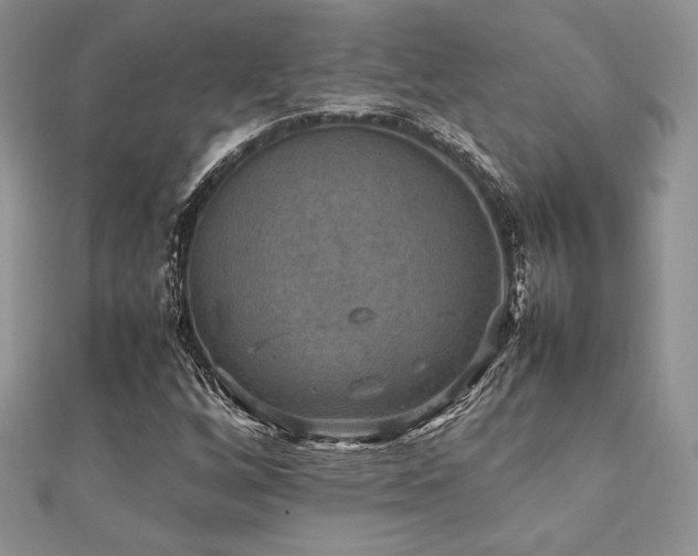X0000112531256200908171413