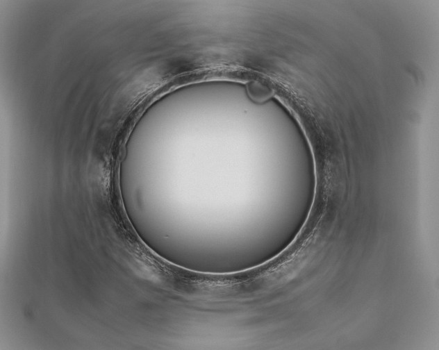 X0000112531257200908171413