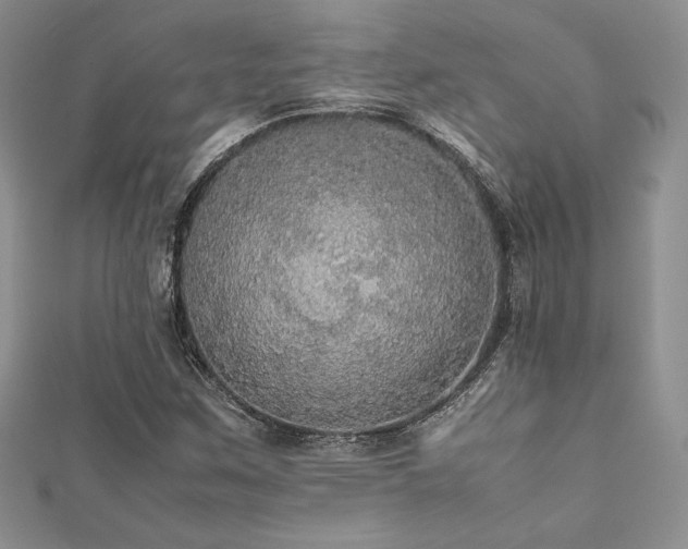 X0000112531259200908171413
