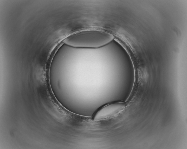 X0000112531260200908171413