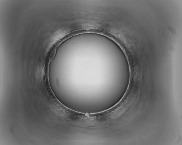 X0000112531261200908171413