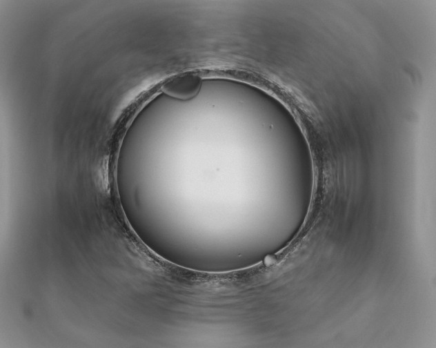 X0000112531262200908171413