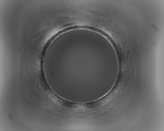 X0000112531263200908171413